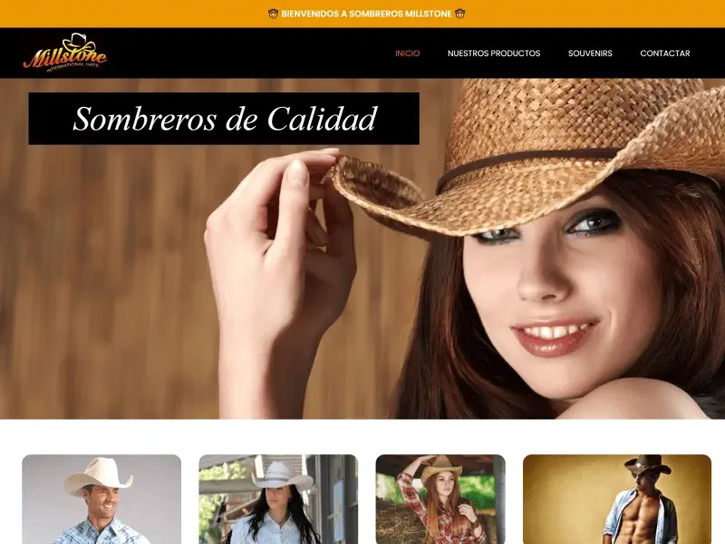 diseño paginas web Guadalajara